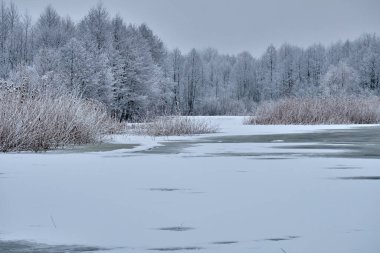 Nehirde gümüş kış sabahı
