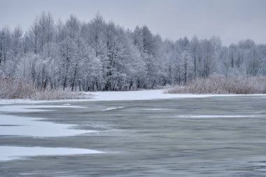 Nehirde gümüş kış sabahı