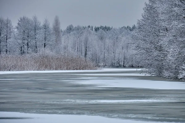 Nehirde gümüş kış sabahı