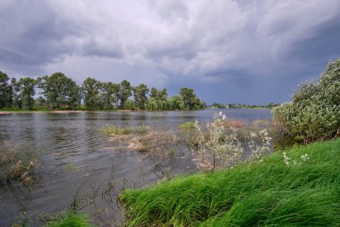 Yağmur yağarken gölde