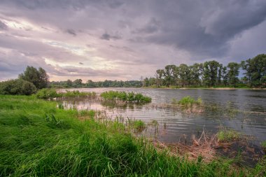 Yağmur yağarken gölde