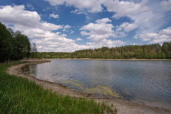 stock image White clouds over the lake and forest