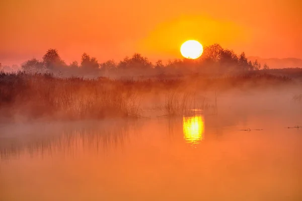Туманный Рассвет Над Озером — стоковое фото