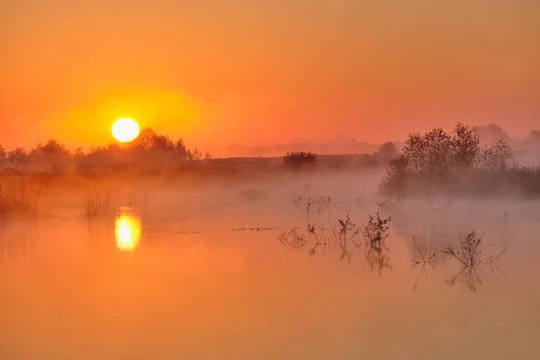 Nebliger Sonnenaufgang Über Dem See — Stockfoto