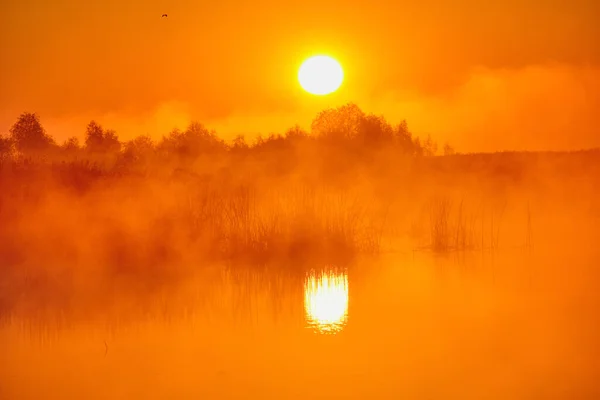 Nebliger Sonnenaufgang Über Dem See — Stockfoto