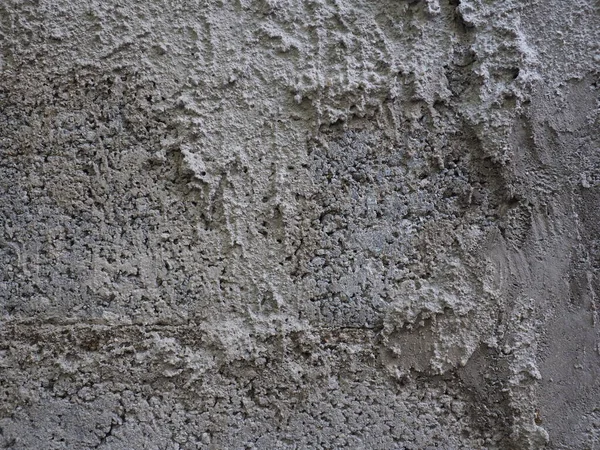 Bulanık arkaplanda küçük fidan 02