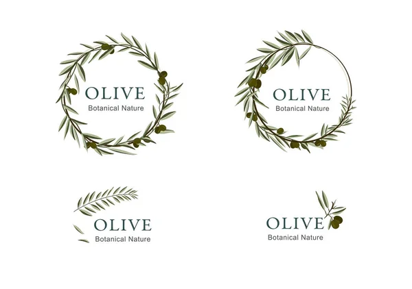 Logotype Collection Avec Des Ornements Olivier — Image vectorielle