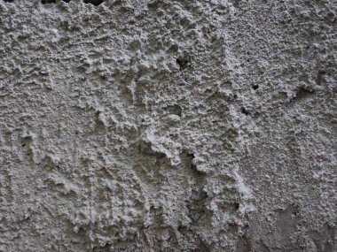 Hoya çiçek çerçevesi afişi şablonu