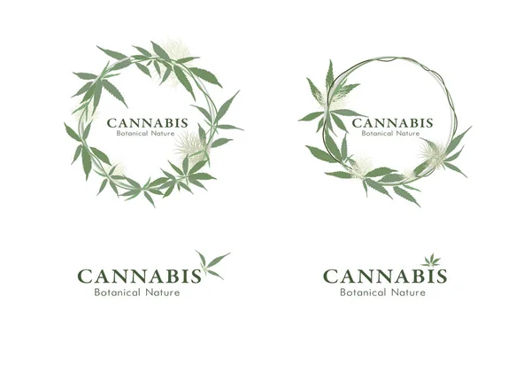 Logotyp Der Cannabis Sammlung Mit Blumenschmuck — Stockvektor