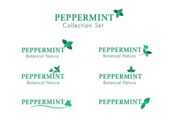 ペパーミントのロゴタイプコレクションセットベクトル — ストックベクタ