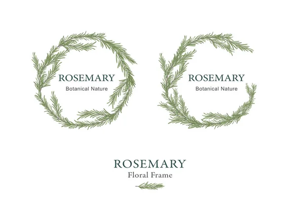 Hand Drawn Rosemary Floral Frame Background Vector —  Vetores de Stock