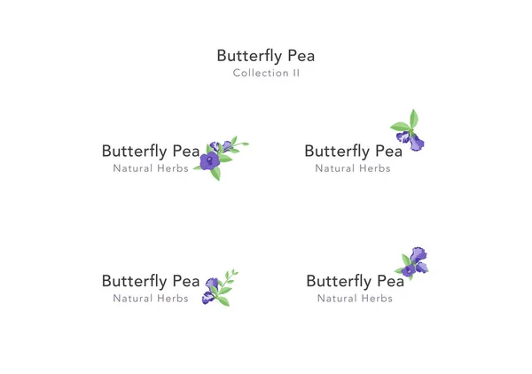 Butterfly Pea Floral Ornament Vector Collection — ストックベクタ