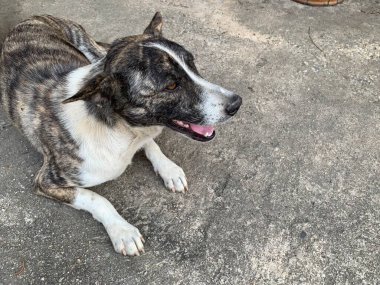 Açık mavi deniz, güneşli arka plan.