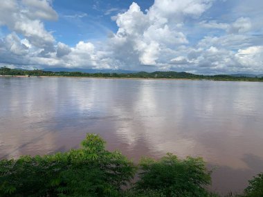 riverside natural view in blue sky