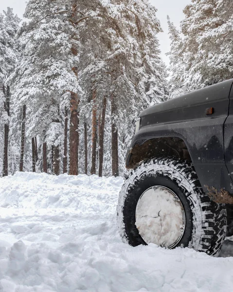 Offroad Bil Hjul Snön Snödrift Mot Bakgrund Vinterskogen Snö Bil — Stockfoto