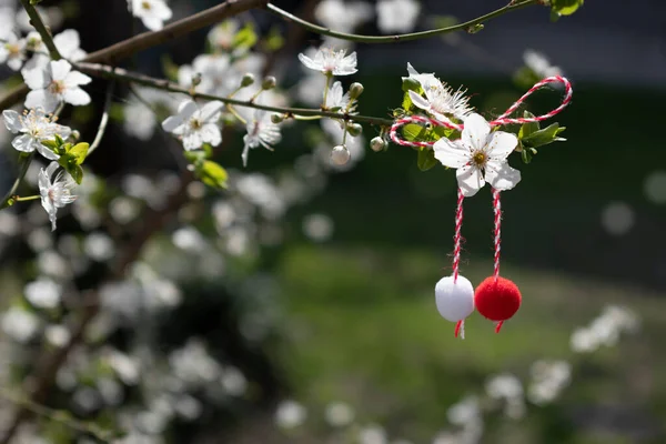 Martenitsa op bloeiende boom - symbool van het begin van de lente. Decoraties van rode en witte draad worden op 1 maart in Bulgarije gepresenteerd. Voorjaarsachtergrond, bloei in de tuin — Stockfoto