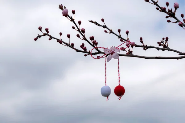 Lente achtergrond met boog van rode en witte draad, martenitsa of martisor op bloeiende tak van sakura of Japanse kers tegen bewolkte lucht, kopieer ruimte. Traditie 1 maart vakantie — Stockfoto
