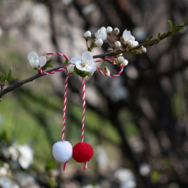Bahar arkaplanı kırmızı ve beyaz iplikçikli, martenitsa ya da martisor çiçekli meyve ağacının dalında, kopyalama alanı. Gelenek 1 Mart tatili