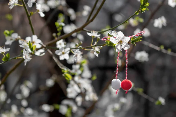 Martenitsa Martisor Tak Van Bloeiende Fruitboom Voorjaarsbloei Tuin Achtergrond Kopieer — Stockfoto