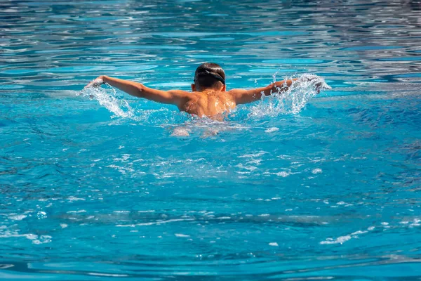 Boy child swimmer swim in swimming pool with butterfly style. Water sports, training, competition, activities, learn to swim school classes for children. View from back