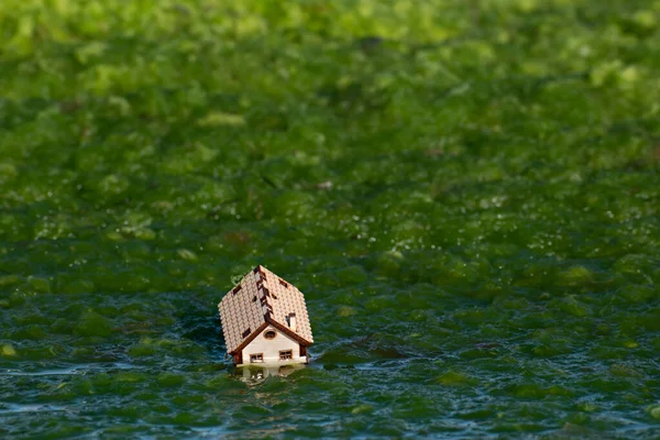 Sinking house symbol natural disasters and incidents, climate change, rising sea levels, global warming, ecological emergency, threat to human existence. House drowned in green sea weed or algae