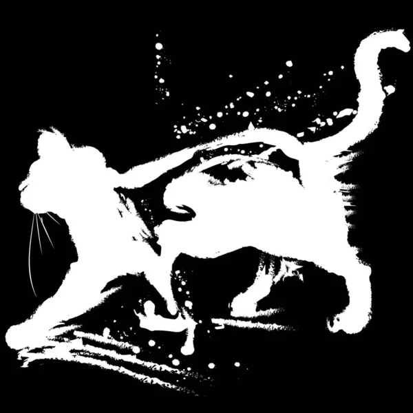 Maine Mýval kočka. v mlze ručně kreslené inkoustem v tradičním japonském stylu sumi-e. Vektorová ilustrace na černém pozadí Stock Ilustrace