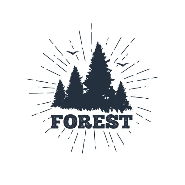 Forêt Illustration Vectorielle Badge Voyage Dessinée Main — Image vectorielle