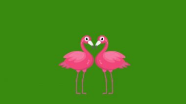Kalplere aşık iki flamingo animasyon 4K Video hareketli animasyon.