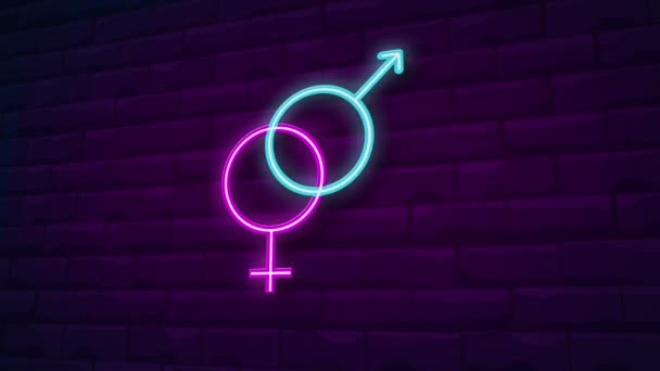 性别动画霓虹灯标志 Neon Effect Video Motion Animation 砖墙上的霓虹灯标志 — 图库视频影像