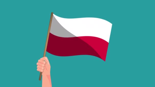 Ręczne Trzymanie Polskiej Flagi Animacji Machanie Flagą Symbol Narodowy Video — Wideo stockowe