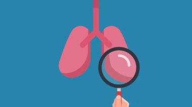 El ele tutuşan büyüteçle insan ciğerleri. 4K hareket canlandırması.