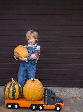Kot pantolon ve örgü kazak giyen pozitif çocuk büyük oyuncak bir arabada büyük, güzel çiftlik balkabakları taşıyor. Bir kamyon. Küçük yardımcı, oğlanlar için oyunlar. Hasat.