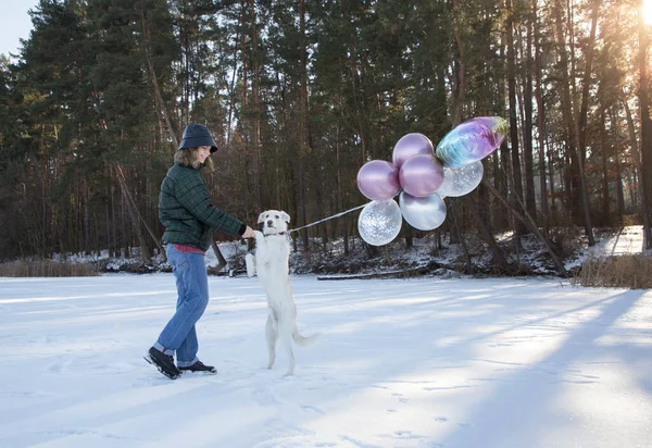 full length young woman with her white dog standing on its hind legs with a bundle of balloons. fun festive walk in winter in snow. A surprise for the owner from a beloved pet