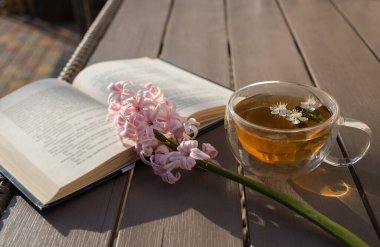 transparent cup of tea and blooming hyacinth on an open book on a wooden table, lit by the sun. A moment of relaxation and silence. Good morning hello spring. Reading the book with pleasure