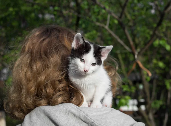 Küçük Kedi Yavrusu Sırtı Dönük Duran Bir Kızın Omzuna Oturur — Stok fotoğraf