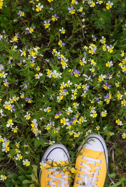 Trampki Młodzieżowe Zielonej Trawie Wśród Małych Dzikich Kwiatków Spacer Świeżym — Zdjęcie stockowe