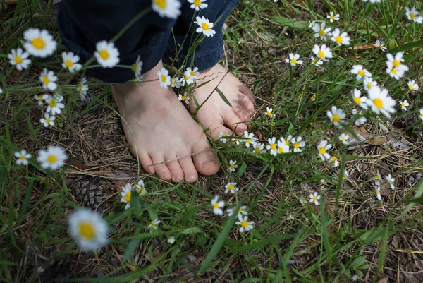 Голі Ноги Дитини Стоїть Траві Серед Ромашкових Квітів Лісі Літня — стокове фото
