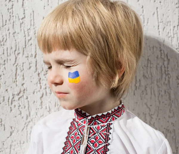 Лицо Мальчика Украинский Флаг Нарисован Щеке Желтым Синим Цветами Русское — стоковое фото