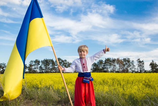 Sarı Mavi Büyük Bayraklı Ulusal Giysili Çocuk Gurur Ülkenin Sembolü — Stok fotoğraf