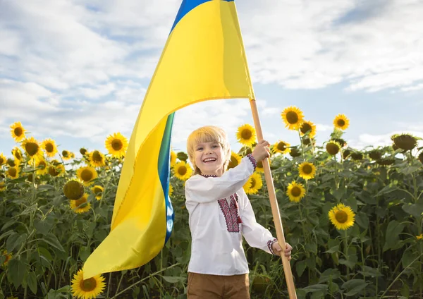 ひまわり畑で手に持っている黄青の大きな旗の刺繍シャツの少年 誇り国の象徴ウクライナ国籍 ウクライナのために祈る 戦争をやめろ ウクライナの子供たちは平和を望んでいる — ストック写真