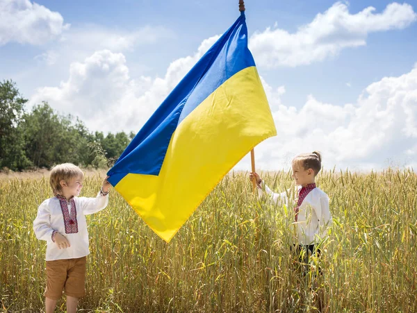 Двоє Хлопців Національних Українських Сорочках Мають Жовтий Синій Прапор Проти — стокове фото