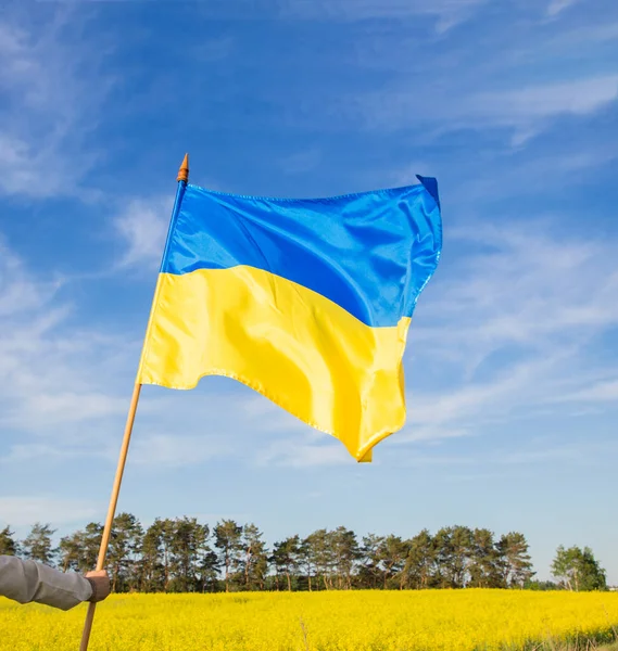 Український Жовто Синій Прапор Тлі Квітучого Мерехтливого Поля Блакитного Неба — стокове фото