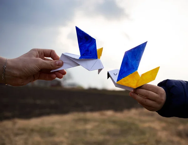Бумажных Голубя Мира Крылья Окрашены Желто Голубые Цвета Украинского Флага — стоковое фото