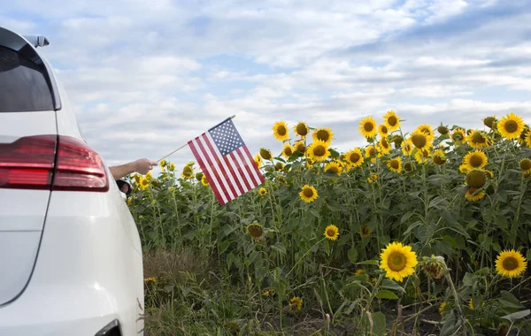 American flag sticking out of car window. white car is driving off-road through flowering field of sunflowers. Vacation, travel. Independence Day of United States of America. Pride, Patriotism