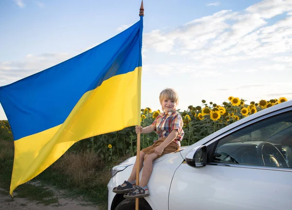 男の子はひまわりの咲くフィールドを背景に大きなウクライナの旗と白い車の上に座っています 独立記念日の誇り自由 愛国教育です 戦争に反対する子供たち ウクライナ人は平和を求める — ストック写真