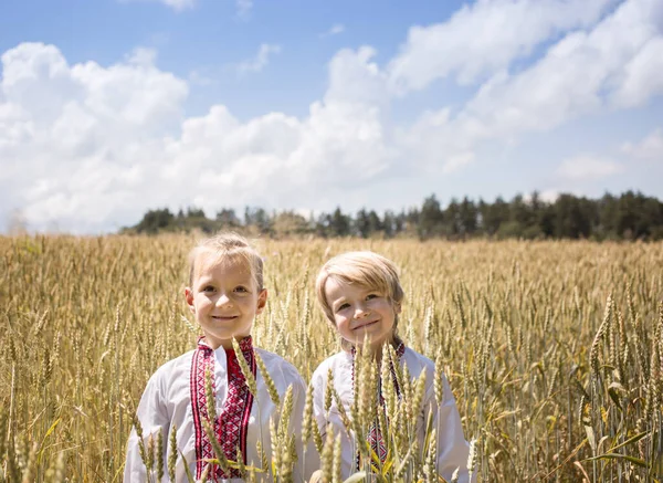 Two Happy Year Old Boys National Ukrainian Vyshyvankas Stand Spikelets — стоковое фото