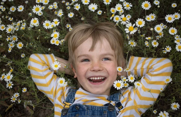 Retrato Desde Arriba Lindo Niño Sonriente Yaciendo Entre Campo Manzanilla — Foto de Stock