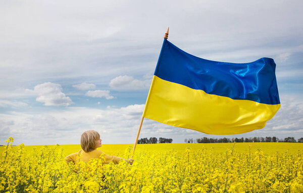 ребенок, маленький блондин с большим украинским флагом среди цветущего желтого рапсового поля. молится за мир в Украине. празднование Дня независимости, Дня флага. Остановить войну на Украине