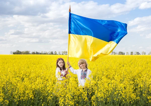 ウクライナの民族衣装の男の子と女の子は 黄色の菜の花畑の中に黄色の青い旗を立って保持しています 愛国心の教育 独立記念日 ウクライナの子供たちは平和を求めて — ストック写真