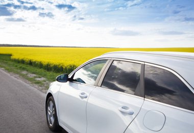 Arabayla yolculuk. Bahar ya da yaz aylarında, beyaz bir araba asfalt bir yol boyunca sarı kolza tohumu tarlalarından geçer. Hayat devam ediyor. Ülkeyi otostop çekerek dolaşmak. Teknoloji ve doğa